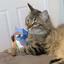Kattelegetøj med katteurt